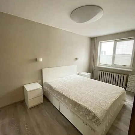 Cozy Flat Close To City Center Kaunas