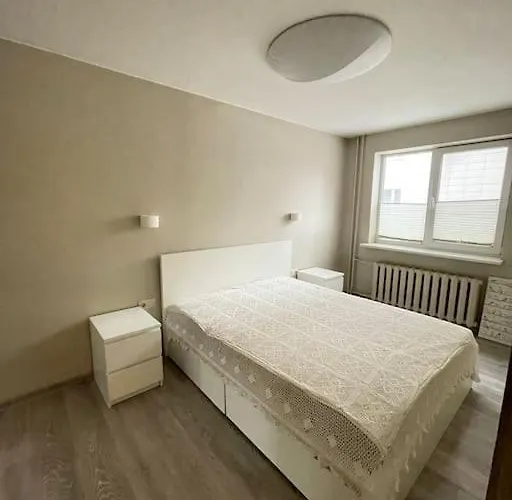 Cozy Flat Close To City Center Kaunas